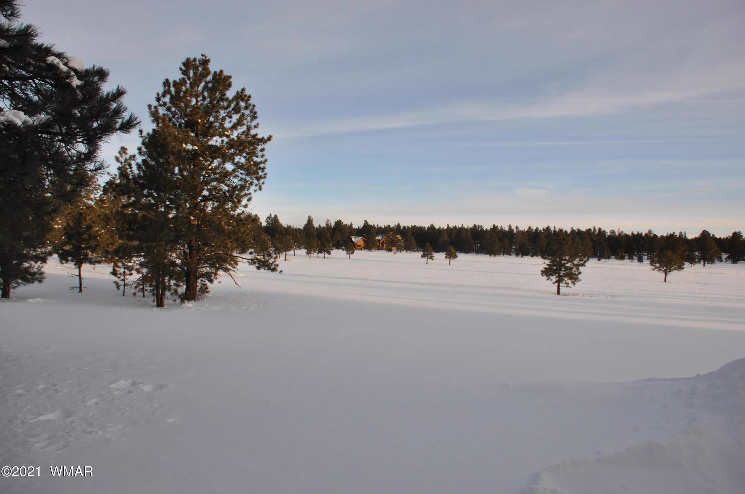 Open Meadows