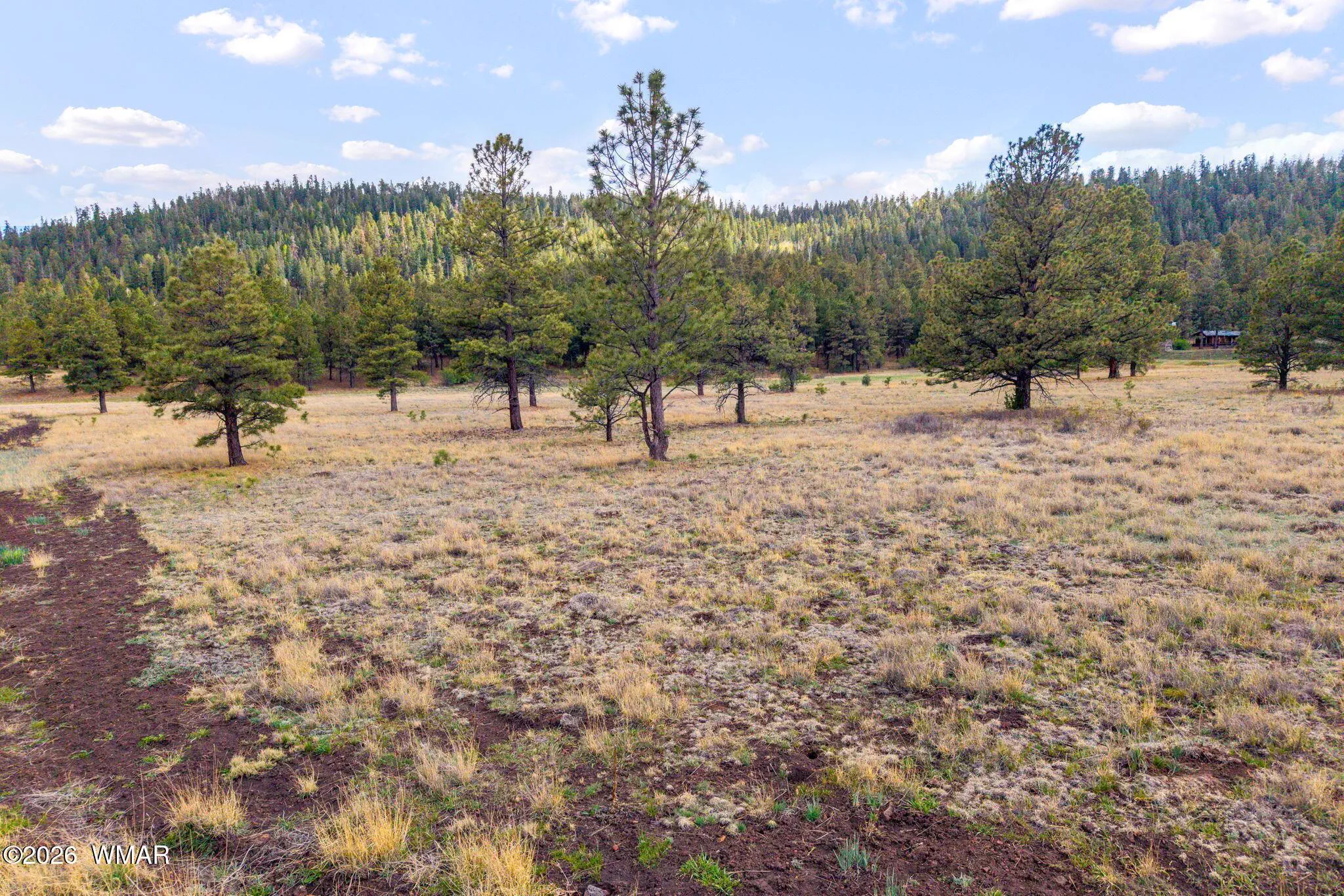 Parcel10330035A-Greer-AZ-3