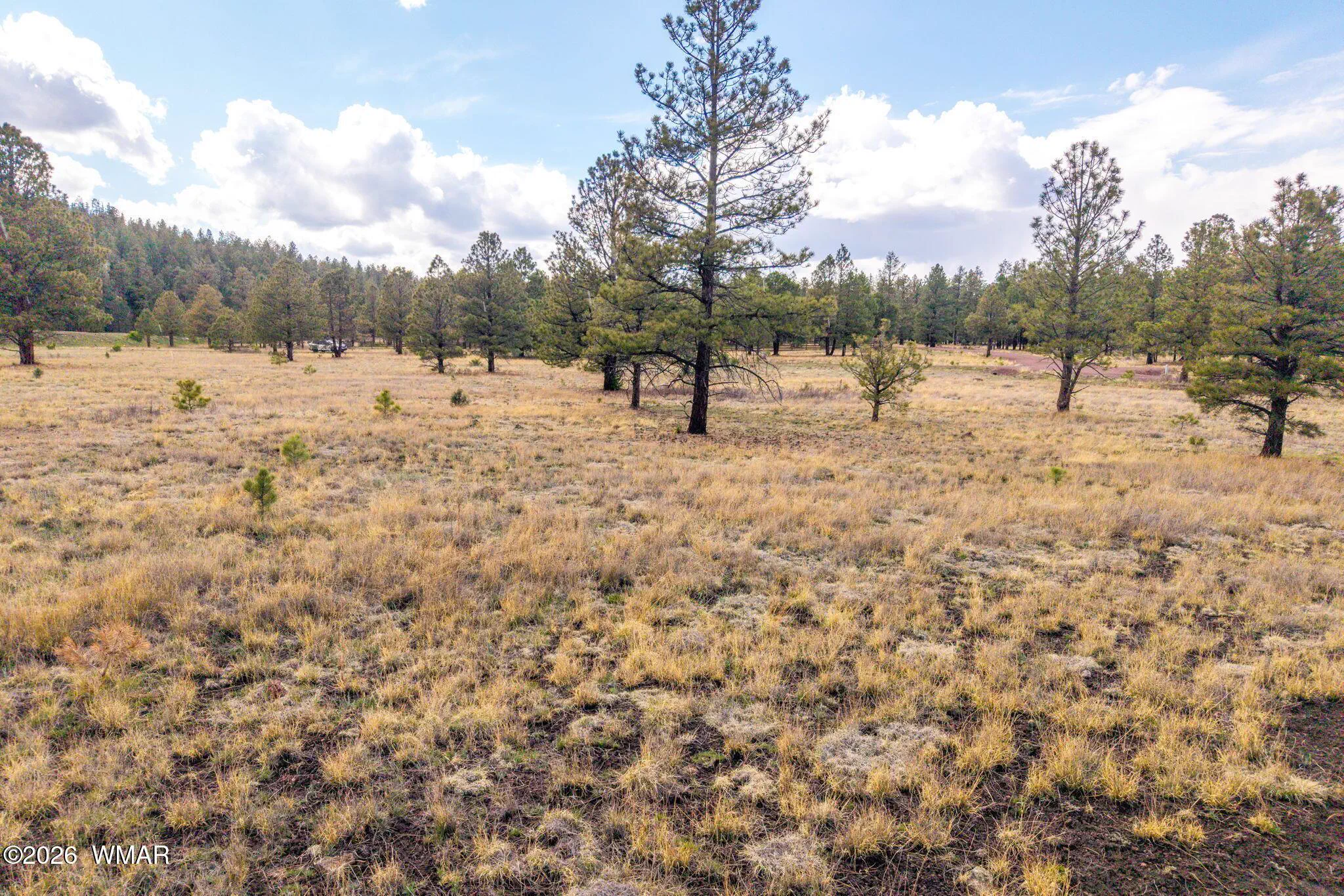 Parcel10330035A-Greer-AZ-4
