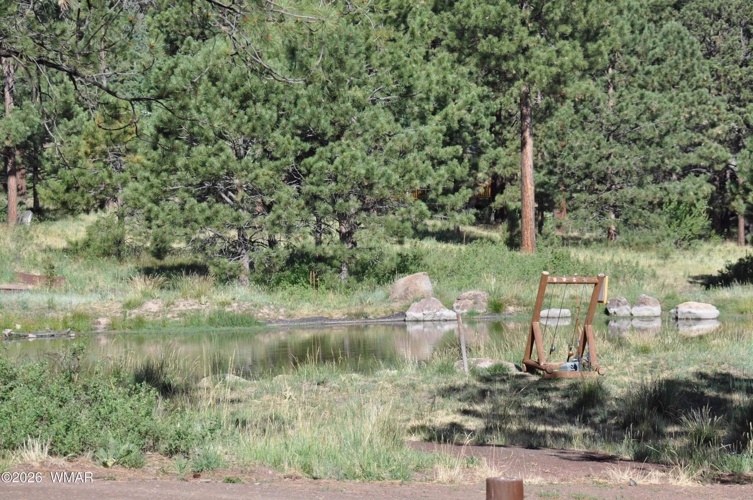 Pond
