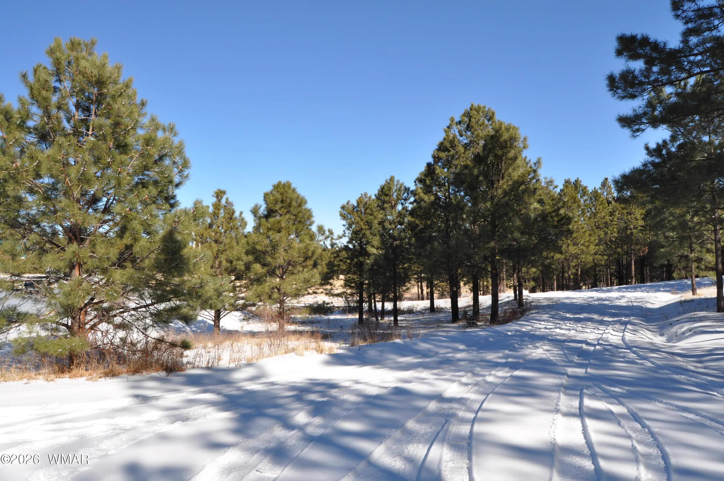 winter 2016 (9)