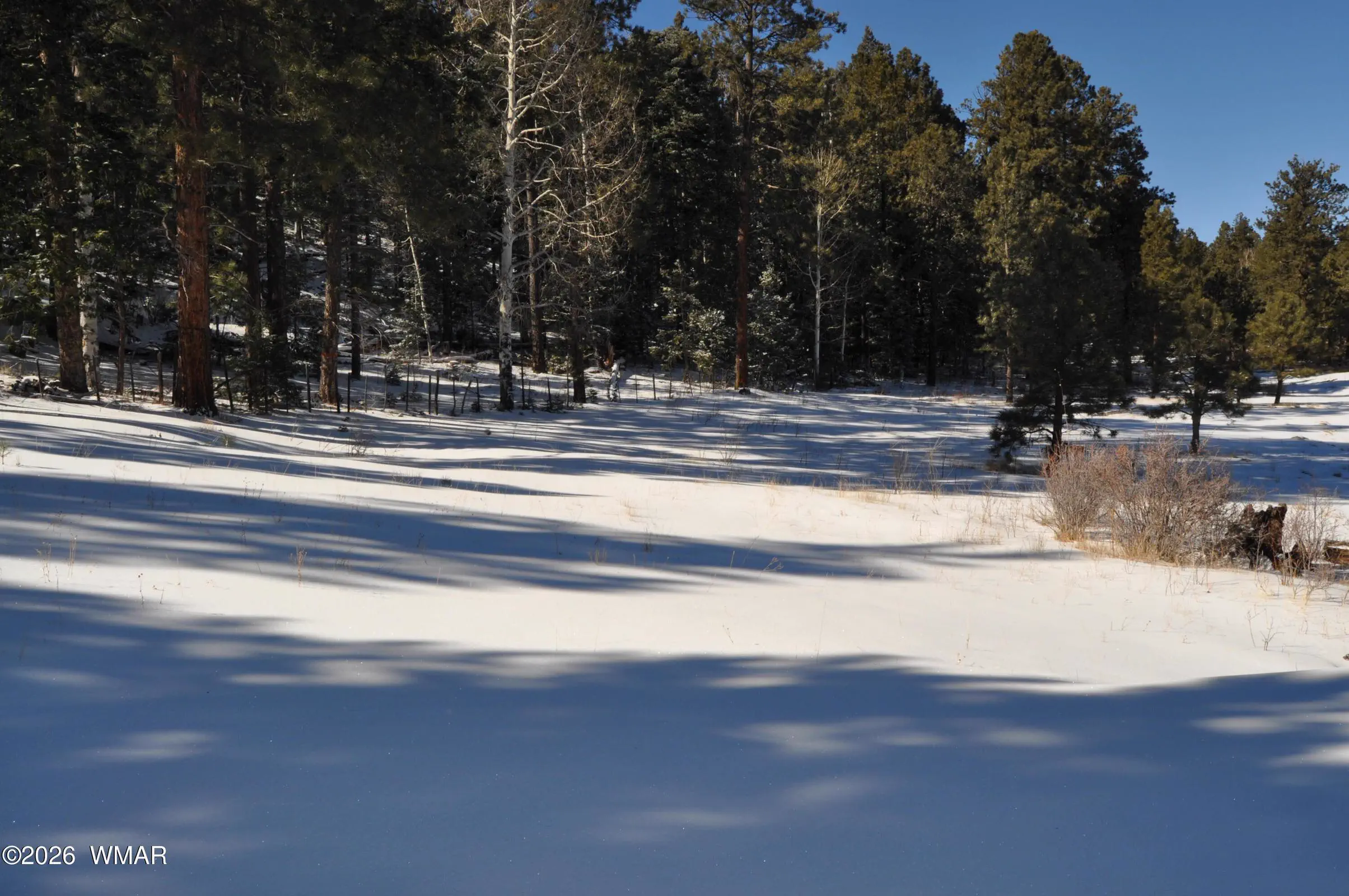 winter 2016 (3)