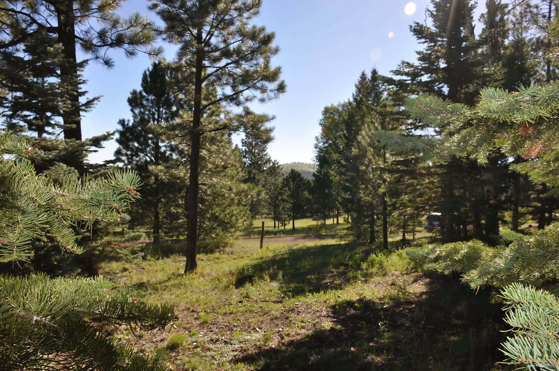 Lot 10 N 1337